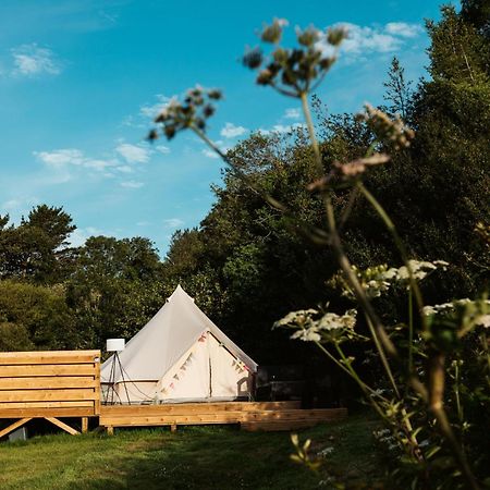Willow Valley Glamping بود المظهر الخارجي الصورة