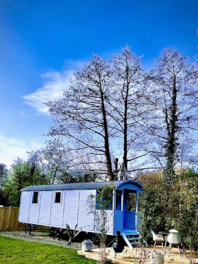 Willow Valley Glamping بود المظهر الخارجي الصورة